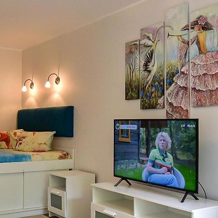 Stilingi Apartamentai Su Virtuve Traku Miesto Centre Тракай Екстер'єр фото