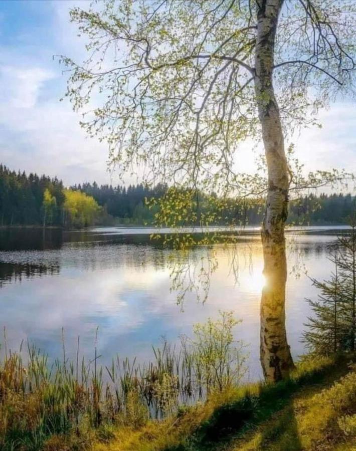 Stilingi Apartamentai Su Virtuve Traku Miesto Centre Тракай Екстер'єр фото