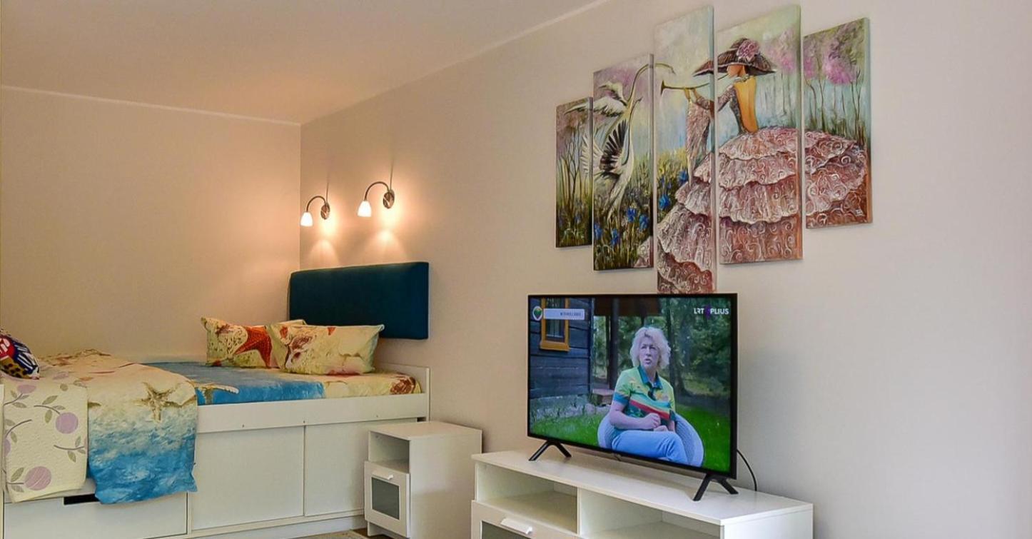 Stilingi Apartamentai Su Virtuve Traku Miesto Centre Тракай Екстер'єр фото