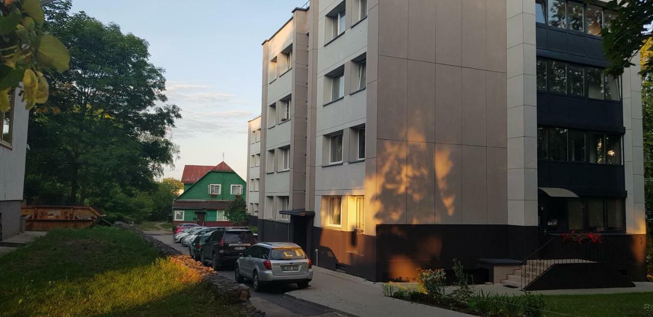 Stilingi Apartamentai Su Virtuve Traku Miesto Centre Тракай Екстер'єр фото